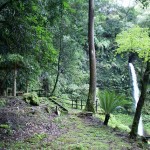 小布瀬の滝道のり (9)