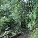 小布瀬の滝道のり