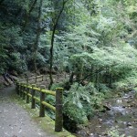 小布瀬の滝道のり (3)