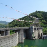 日南ダムの鯉のぼり（３）