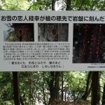 関之尾滝 (3)